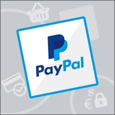 paypal-direct-payments